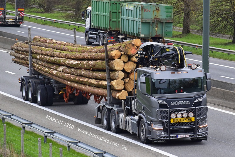 _DSC4718 DREWNO-crop-SCANIA R NG.JPG